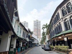 Tanjong Pagar Conservation Area (D2), Shop House #521728621